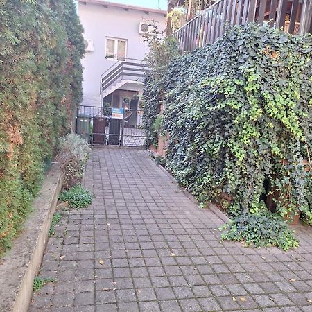 New Studio Apartment Emmy With Free Street Parking Загреб Екстериор снимка
